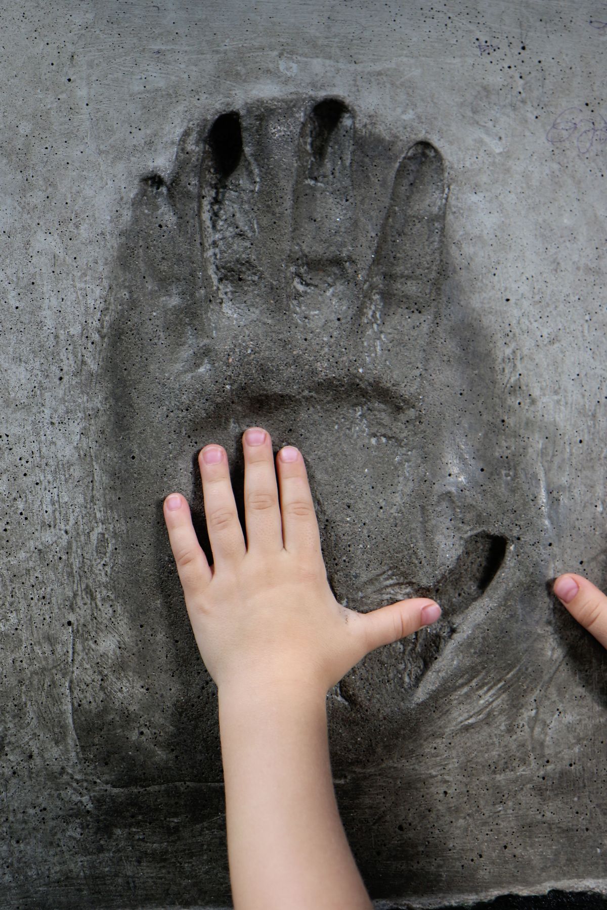 🏗️ ۸ استراتژی مؤثر برای تبلیغات سیمان و افزایش فروش در بازار ساختوساز